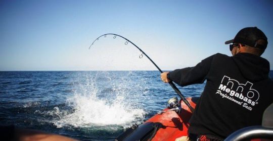 Bluefin tuna fishing, the choice of rod and reel is essential for success