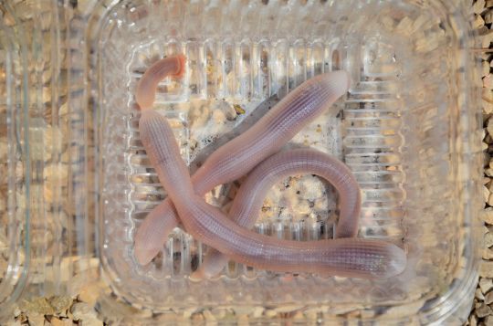 Chez son magasin de pêche