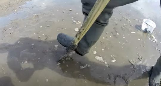 Récoltez vous-même vos vers, c'est moins cher