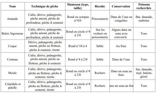 Des coquillages à escher