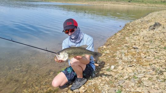 Un superbe poisson à vue
