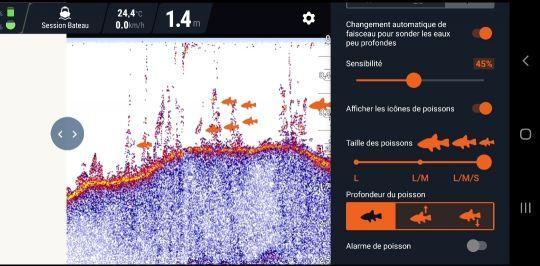 Poissons dans les herbiers que j'ai pu voir d'ailleurs