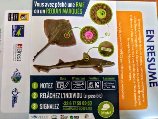 Programme de marquage