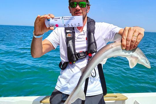 Notre premier requin hâ de la compétiton