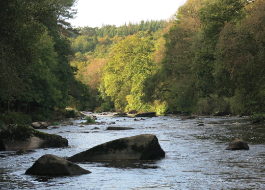 Le parcours des Roches du Diable sur l'Ellé (29)