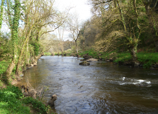 Le Léguer, superbe rivière à saumon costamoricaine