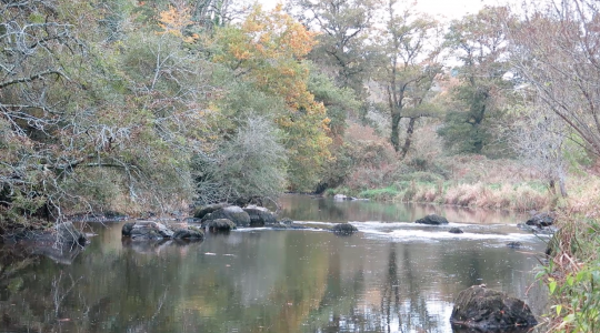 Parcours du bas du Moulin de St Yves sur le Scorff (56)