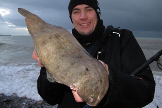 Sole prise en surfcasting