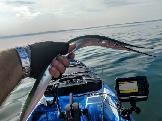 Un peu de pêche aux leurres