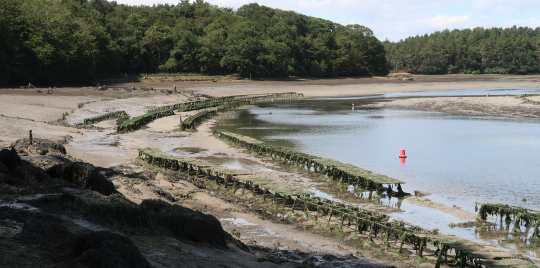 Bien connaitre les ces coins de pêche, comme ici les parcs à huitres, permet de savoir où et quand vont passer les bars