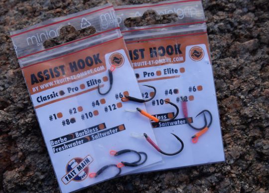 assit hook pour truites