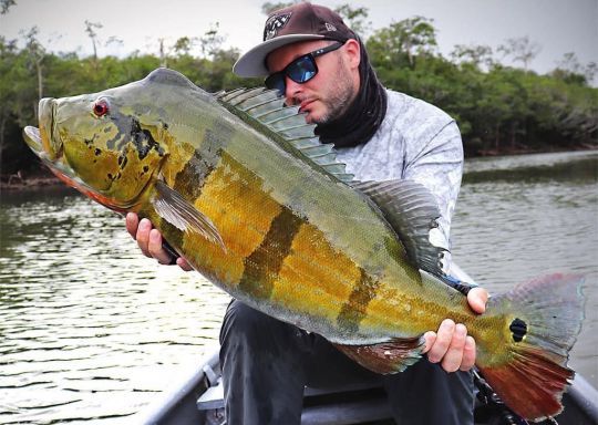 La Colombie, une destination de rêve pour les gros peacock-bass.