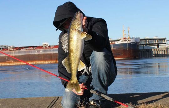 Walleye, a fish that deserves a fishing trip to North America