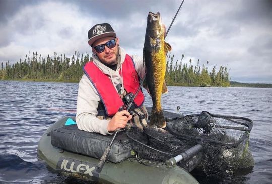 Doré jaune du nord du Québec.