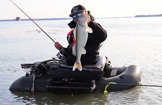 Les semaines propices à la pêche des gros dorés ne sont pas nombreuses.