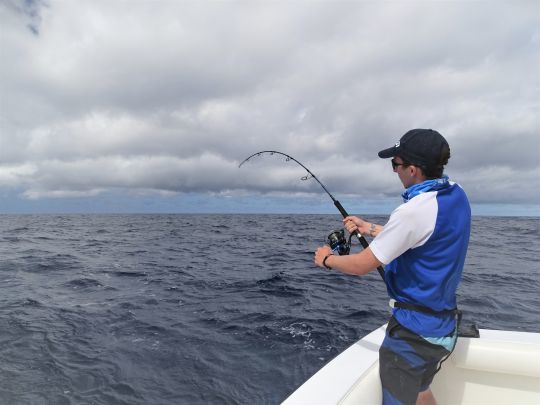 Une mer légèrement agitée