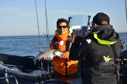 Un poisson validé