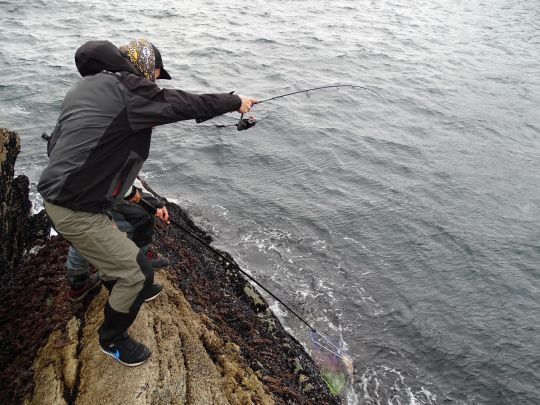 Une épuisette à long manche est nécessaire pour plus de sécurité