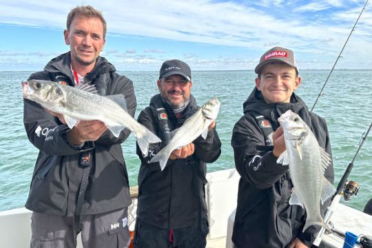 Quelques bars pris en prefishing, c'est-à-dire en pêche de repérage