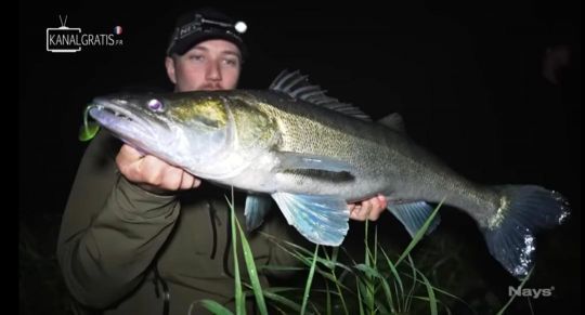 Un poisson de 90 cm pour l'équipe Nays.