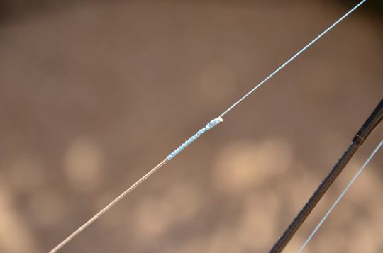 How to tie a Palomar Knot for Fishing (and avoid mistakes most