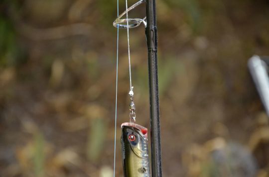 Le nœud universel, solide et rapide à faire