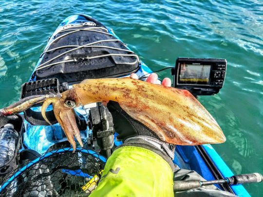 Pratiquer toutes les techniques de pêche