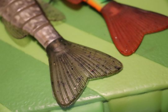 Les nageoires du Swimpike sont durables et ne se déforment pas.