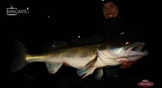 Un magnifique sandre de 95cm pour l'équipe Abu Garcia qui leur permet de remporter cette édition.