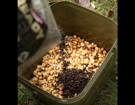 The different seeds for carp fishing, effective baits