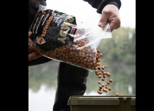Seeds for carp fishing, preparation and conservation