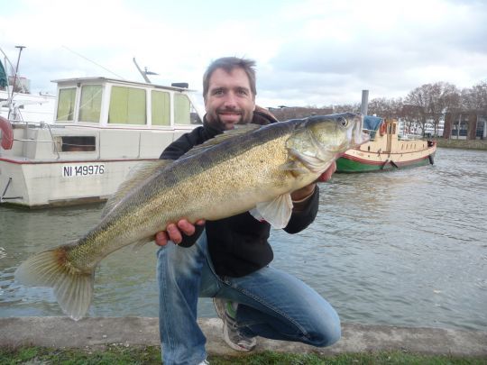 Les crues sont sans doute le meilleur moment pour pêcher le sandre du bord.