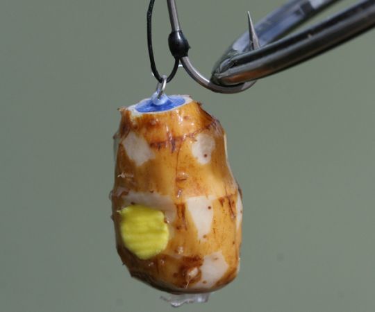 Eschage qui sort de l'ordinaire.