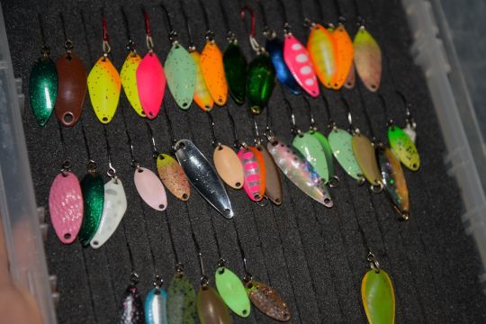 Fishing in the area, the wobbling spoons these indispensable lures