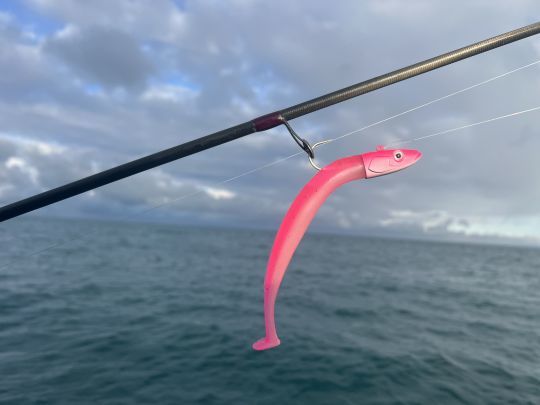 Fiiish Crazy Paddle Tail Double Combo - Offshore - Veals Mail Order