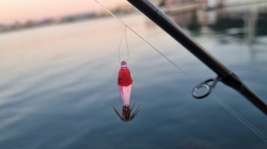 https://media.fishing.news/fishing/42476/fishing-technique-calamari-fishing-eging-1.jpg