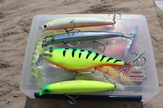 Les jerkbaits minnow sont efficaces sur le payara.