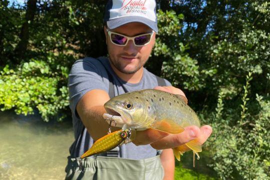 Une jolie truite prise avec le Spring Minnow 65