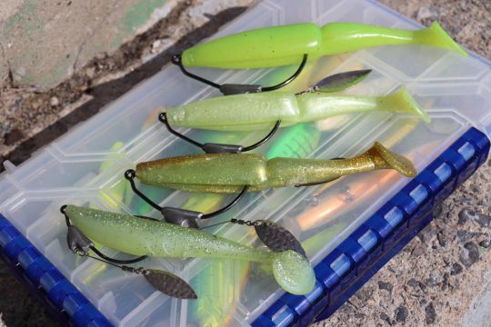 Le Flashy Swimmer monté avec un shad est excellent pour pêcher le brochet !