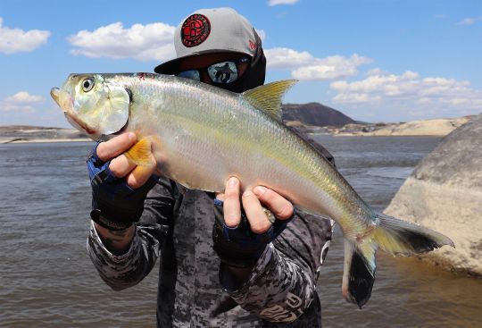 Fly Fishing for Payara and Peacock Bass - Tail Fly Fishing Magazine