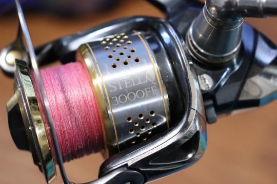 Un ensemble spinning est mieux adapté à la pêche de la sardinata.