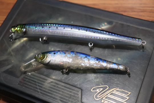 Les jerkbait minnow sont très bons pour pêcher la sardinata.