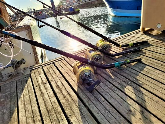 Moulinet à levier pour la pêche des gros carnassiers marins 