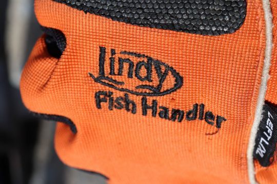 Lindy glove, effective protection against cuts and hooks!