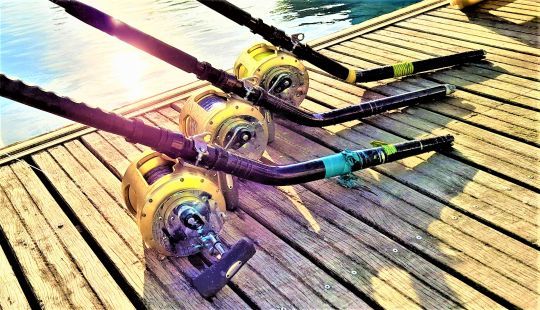 Moulinets à frein à levier pour les pêches hauturières