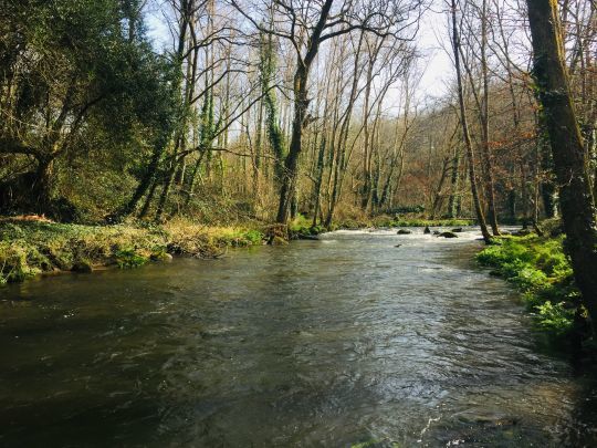 Joli secteur pour pêcher en mouche noyée