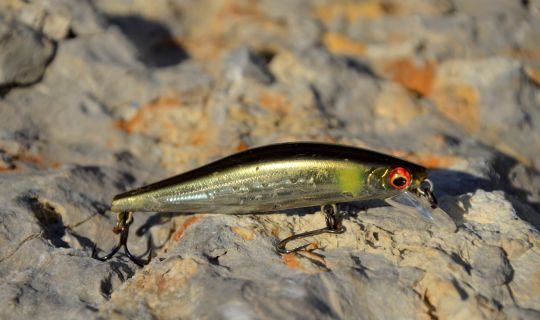 Utiliser un jerkbait minnow