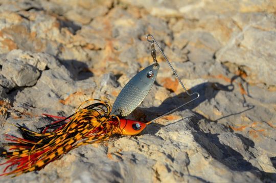 Le spinnerbait, un leurre qui évite les accrochages