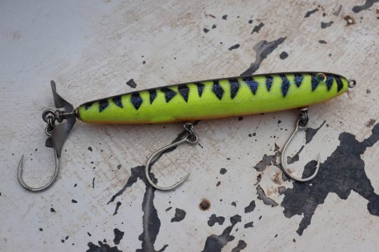 Le Rip Roller est LE leurre pour pêcher le peacock bass.