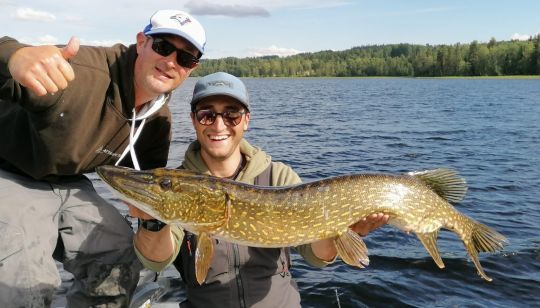 La Suède, un Eldorado pour pêcher le brochet